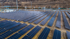 
青海开启数字经济与生态保护共生新范式
